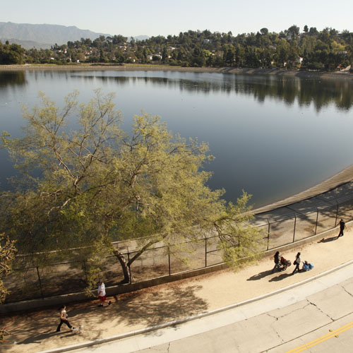 Silver Lake Reservoir Path and Meadow